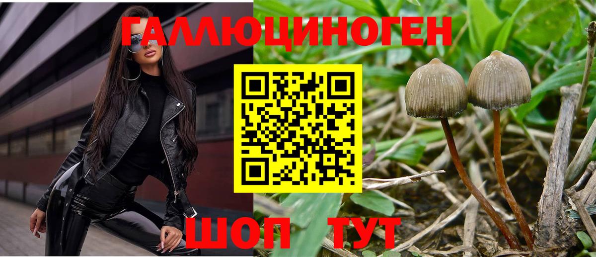 Галлюциногенные грибы мицелий Тверь