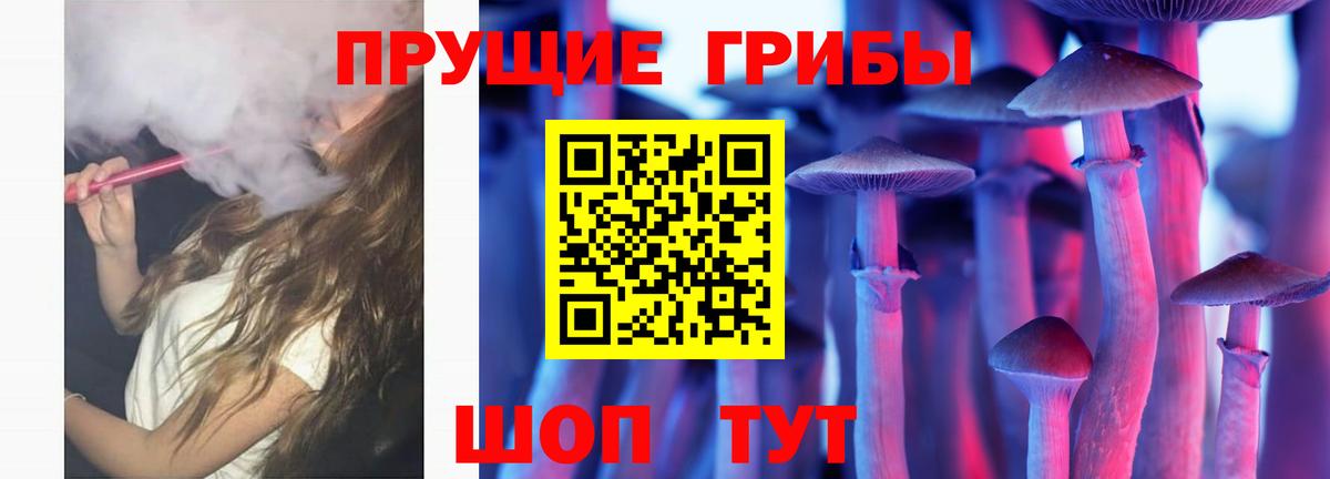 Тверь  Псилоцибиновые грибы MAGIC MUSHROOMS  Вход с VPN 